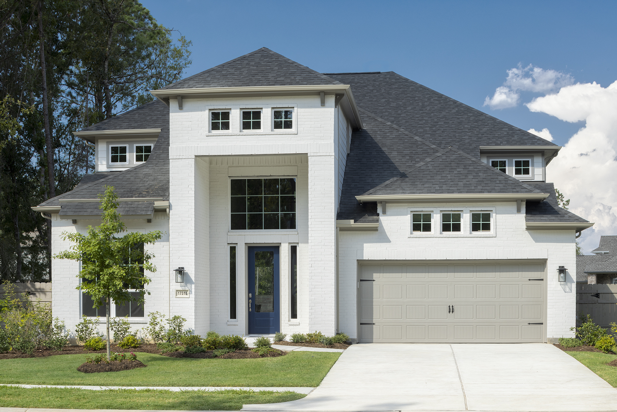 17315 Sunflower Petals Trail