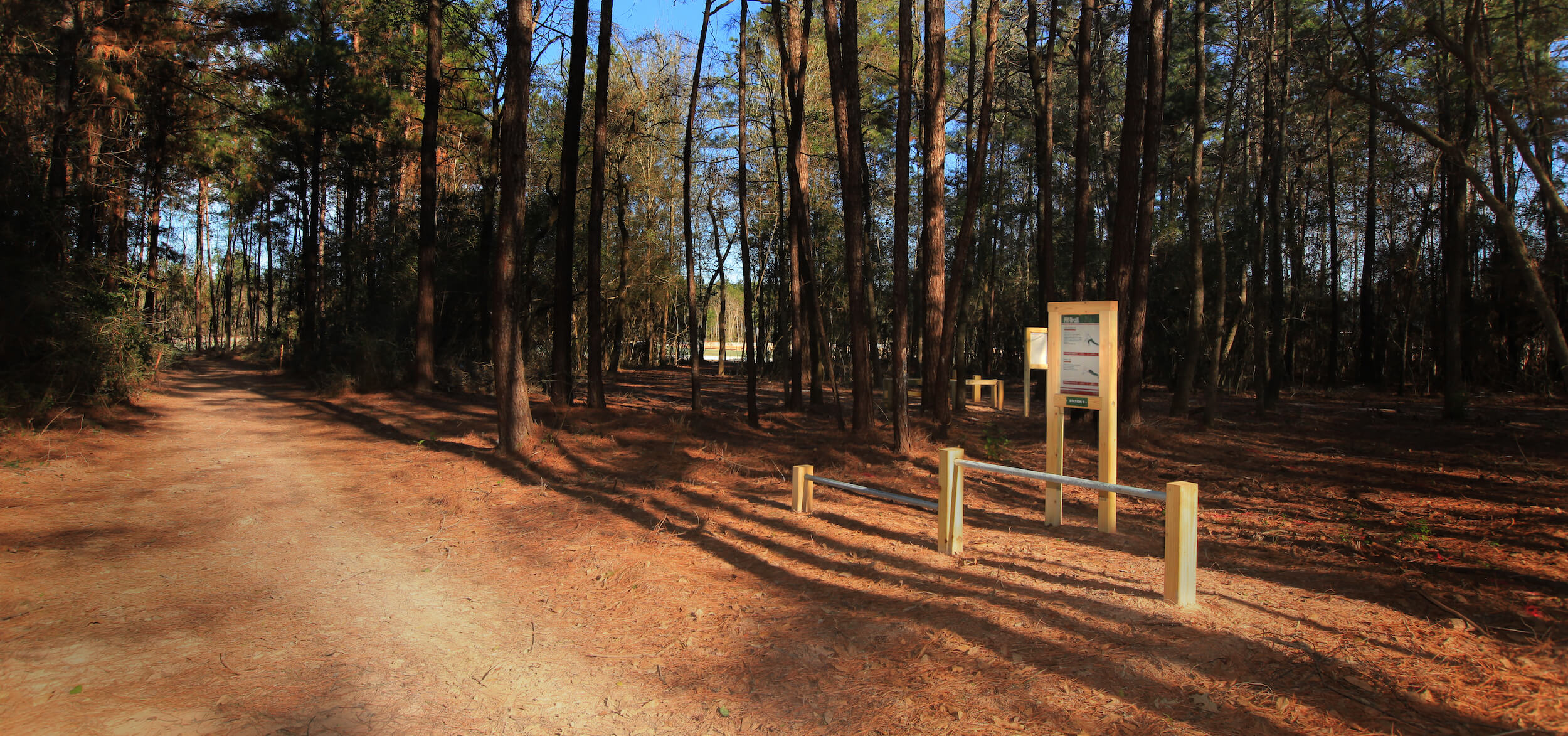 Explore Trails in Conroe From Hiking to Working Out