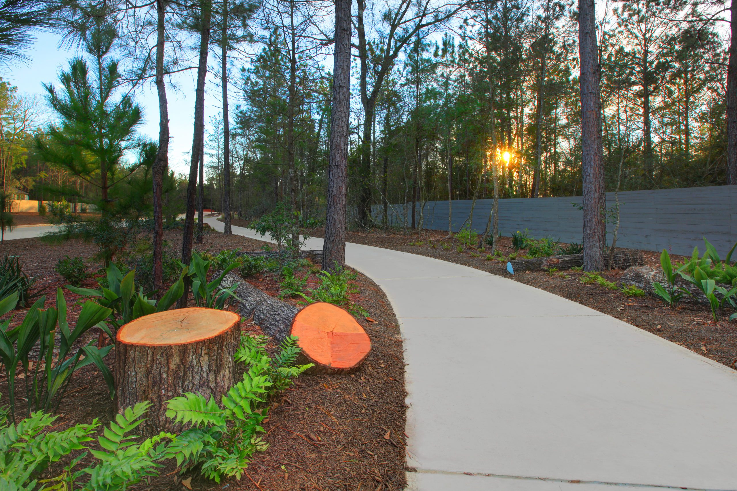 Take Walk on Colorful Side at ARTAVIA™