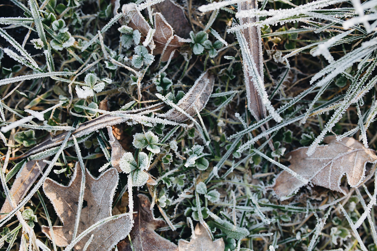 Throw Another Log on the Fire: 10 Tips for Winterizing Your Home