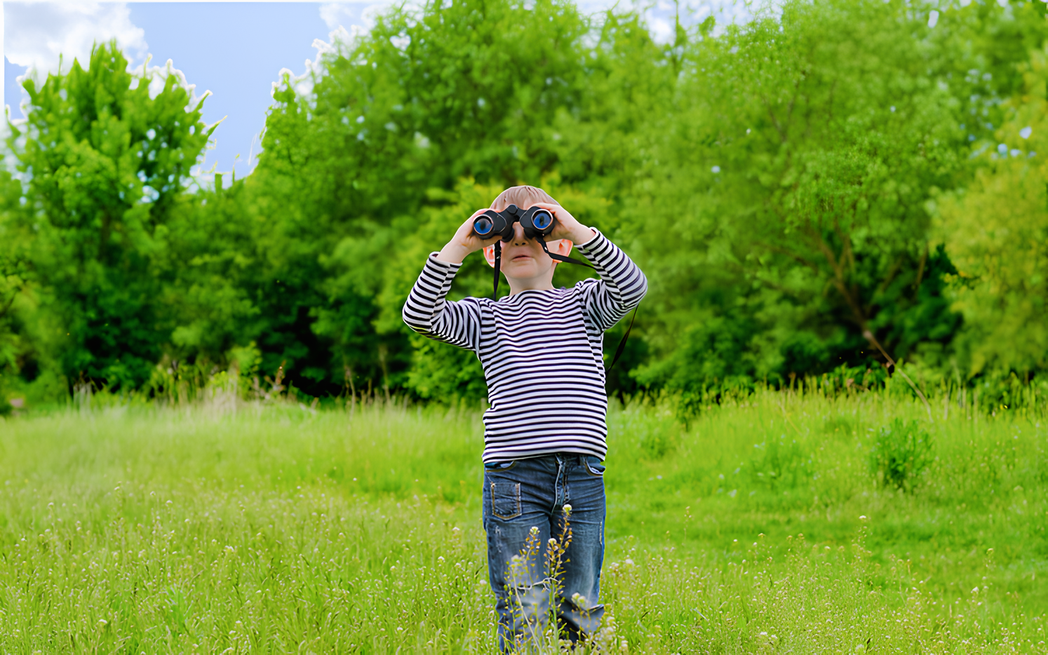 Experience New Options for Things to Do in Conroe, Texas